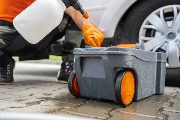 Best Tree Removal  in Gonzales, TX